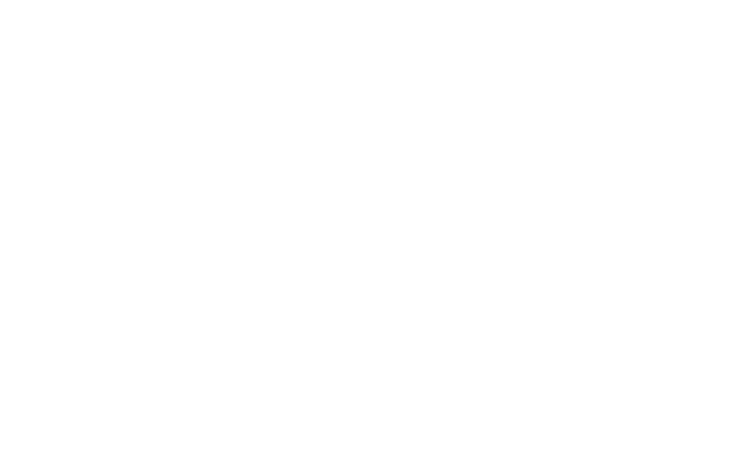 TechX - partner